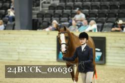 24BUCK_06636 thumbnail