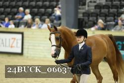 24BUCK_06637 thumbnail
