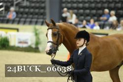 24BUCK_06638 thumbnail