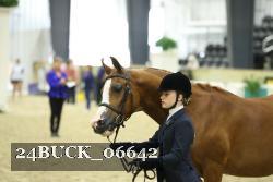 24BUCK_06642 thumbnail