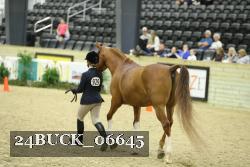 24BUCK_06645 thumbnail