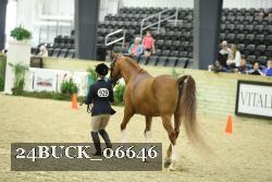 24BUCK_06646 thumbnail