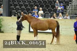 24BUCK_06654 thumbnail