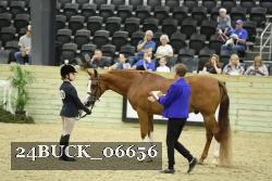 24BUCK_06656 thumbnail