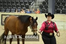 24BUCK_06664 thumbnail