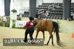24BUCK_06667 thumbnail