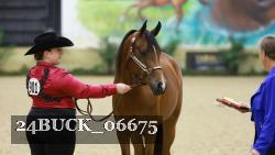 24BUCK_06675 thumbnail
