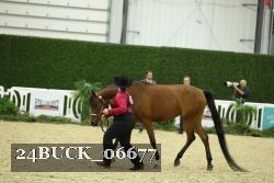 24BUCK_06677 thumbnail