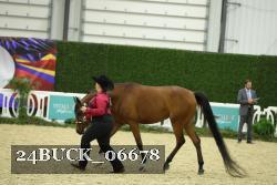 24BUCK_06678 thumbnail