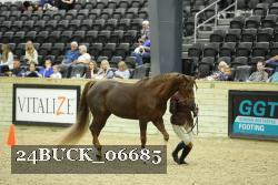 24BUCK_06685 thumbnail