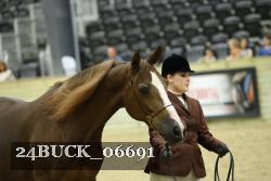 24BUCK_06691 thumbnail