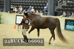24BUCK_06694 thumbnail