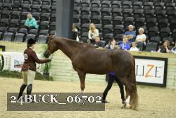 24BUCK_06702 thumbnail