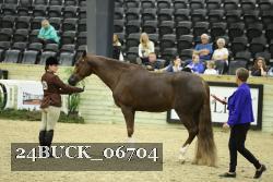 24BUCK_06704 thumbnail