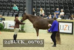 24BUCK_06705 thumbnail