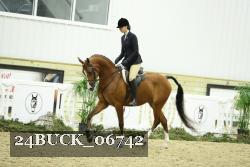 24BUCK_06742 thumbnail