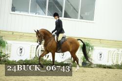 24BUCK_06743 thumbnail