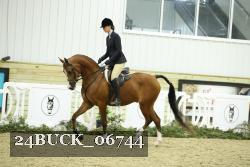 24BUCK_06744 thumbnail