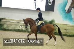 24BUCK_06747 thumbnail