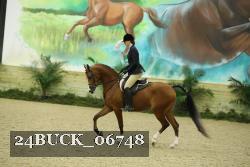 24BUCK_06748 thumbnail