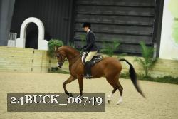 24BUCK_06749 thumbnail