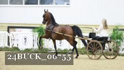 24BUCK_06755 thumbnail