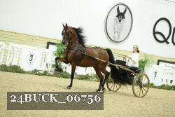24BUCK_06756 thumbnail