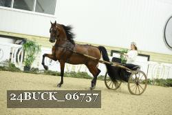 24BUCK_06757 thumbnail