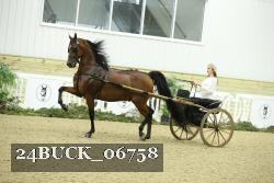 24BUCK_06758 thumbnail
