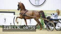 24BUCK_06759 thumbnail