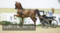 24BUCK_06760 thumbnail