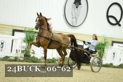 24BUCK_06762 thumbnail