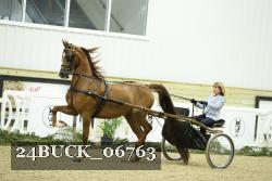 24BUCK_06763 thumbnail
