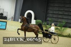 24BUCK_06765 thumbnail