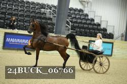 24BUCK_06766 thumbnail