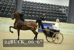 24BUCK_06767 thumbnail