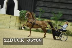 24BUCK_06768 thumbnail