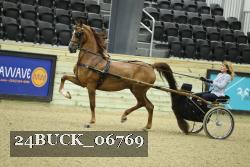 24BUCK_06769 thumbnail