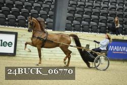 24BUCK_06770 thumbnail