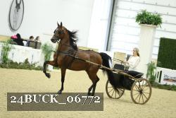 24BUCK_06772 thumbnail
