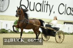 24BUCK_06774 thumbnail