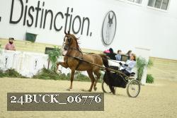 24BUCK_06776 thumbnail