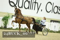 24BUCK_06777 thumbnail