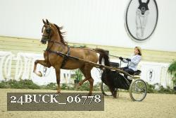 24BUCK_06778 thumbnail
