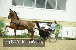 24BUCK_06779 thumbnail