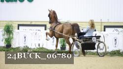 24BUCK_06780 thumbnail