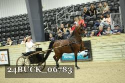 24BUCK_06783 thumbnail
