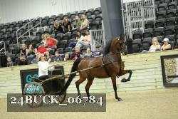 24BUCK_06784 thumbnail