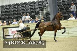 24BUCK_06785 thumbnail