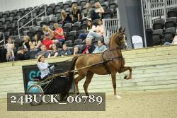 24BUCK_06789 thumbnail